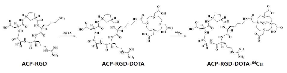 사이클로펜탄을 도입한 64Cu-DOTA-ACP-RGDK, 특허출원 10-2012-0052216