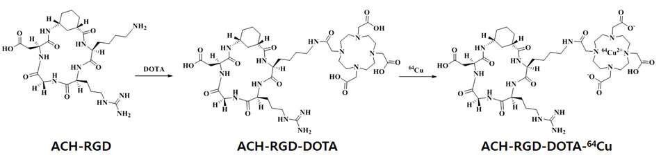사이클로헥산을 도입한 64Cu-DOTA-ACH-RGDK, 특허출원 10-2012-0052217