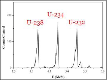 그림 14. U 동위원소 순수분리후 측정된 Alpha Spectrum