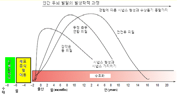 차기 정부 교육 비전과 4대 추진 전략