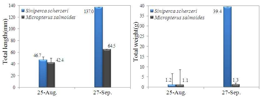 그림 39. 소수저수지 방류 쏘가리 Siniperca scherzeri와 배스 Micropterus salmoides의 성장 비교.