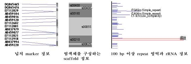 그림 14. 넙치의 ribosomal RNA map.