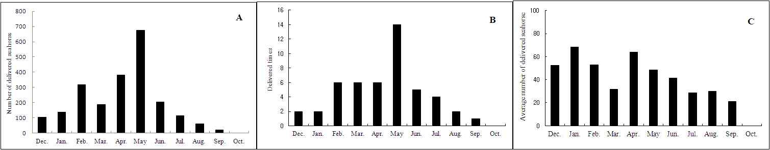 그림 1-9. 2010년 빅벨리해마 월별 산출 수(A), 월별 산출 횟수(B) 및 월별 평균 산출 마리 수?