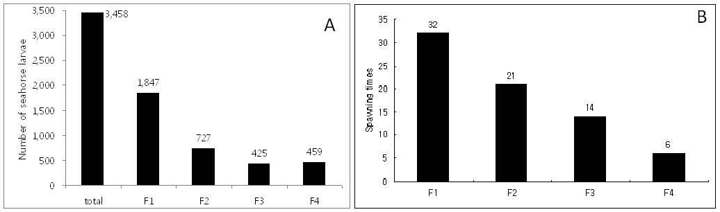 그림 1-12. 2012년도 인공산 세대별 빅벨리해마의 산출 자어 수(A)와 산출 횟수(B)