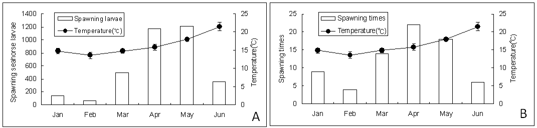 그림 1-14. 수온 변동에 따른 인공산 빅벨리해마의 산출 자어 수(A)와 산출 횟수(B)의 변동