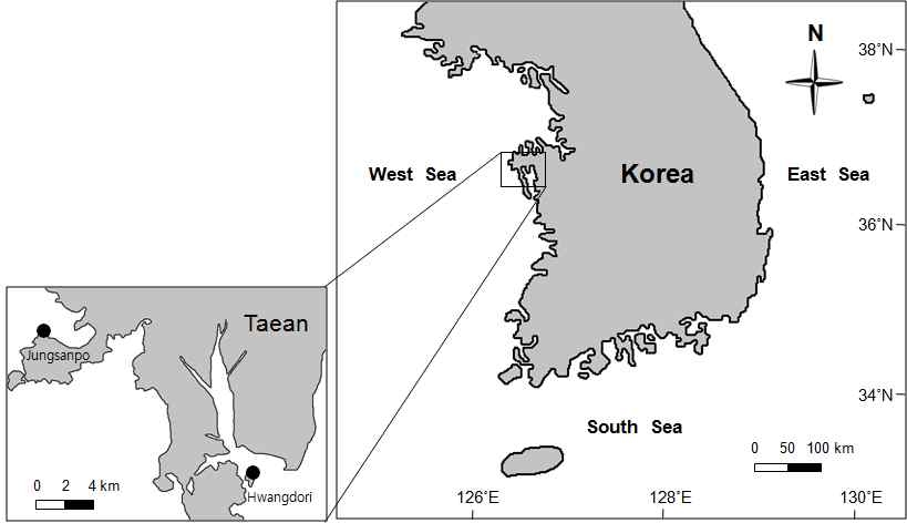 그림 15. 충남 태안군의 바지락 양식장 2개소.