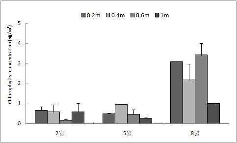 그림 43. 정산포 해수의 엽록소 농도.