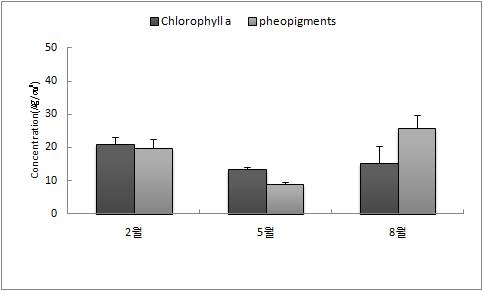그림 49. 정산포 갯벌퇴적물의 엽록소 a와 pheopigments 농도.