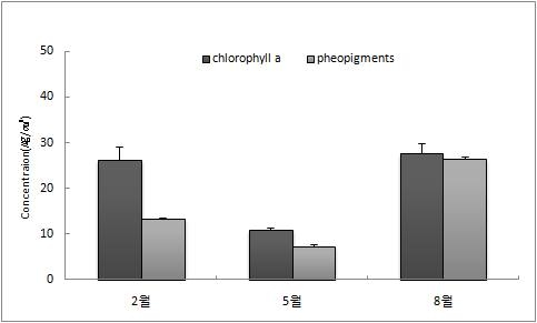그림 50. 황도리 갯벌퇴적물의 엽록소 a 와 pheopigments 농도.