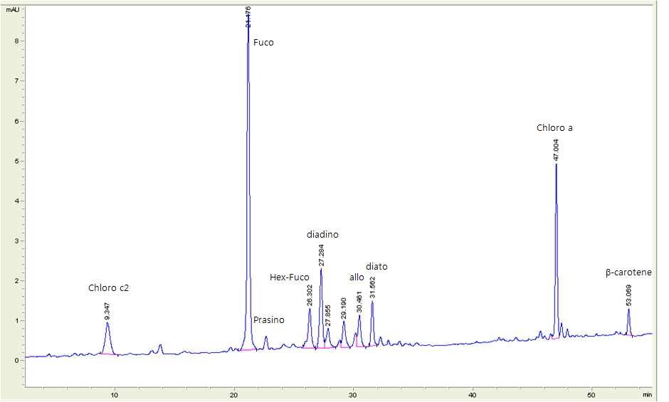 그림 53. 표준 색소에 대한 HPLC 머무름 시간으로부터 색소 동정과 시료에 대한 HPLC 크로마토그램.