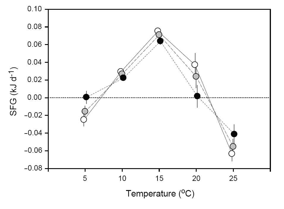그림 3.2.32. 미덕덕의 건중량에 따른 Scope for growth(SFG)와 온도의 관계
