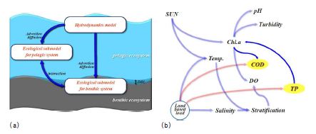 그림 3.5.4 생태계 물질순환의 기본 구성(a)과 수질인자의 관계(b)