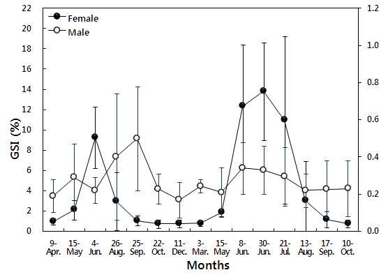 그림 5-2. 동자개 암·수컷의 생식소숙도지수(GSI)의 월별 변화