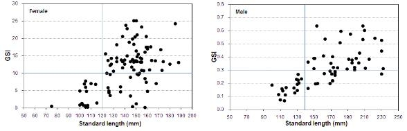 그림 5-3. 산란기 암·수컷의 체장별 GSI 변화