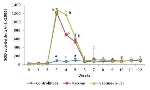 그림 21. 백신 접종 후 SOD활성.