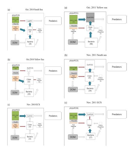 그림 35. 2010년 (좌) 및 2011년 (우) 한반도 주변해역의 해역별 생물군 평균 탄소량 및 미세 먹이망의 모식도
