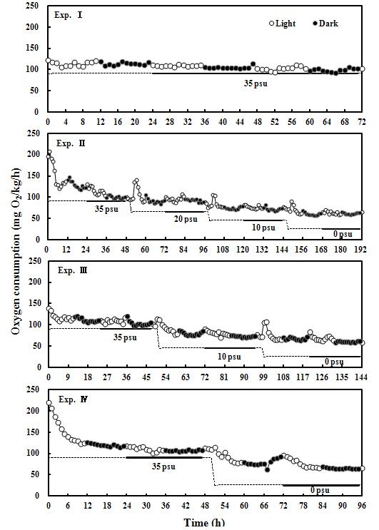 그림 9. 실험구별(Ⅰ∼Ⅳ) 자이언트 그루퍼의 산소소비량 변화
