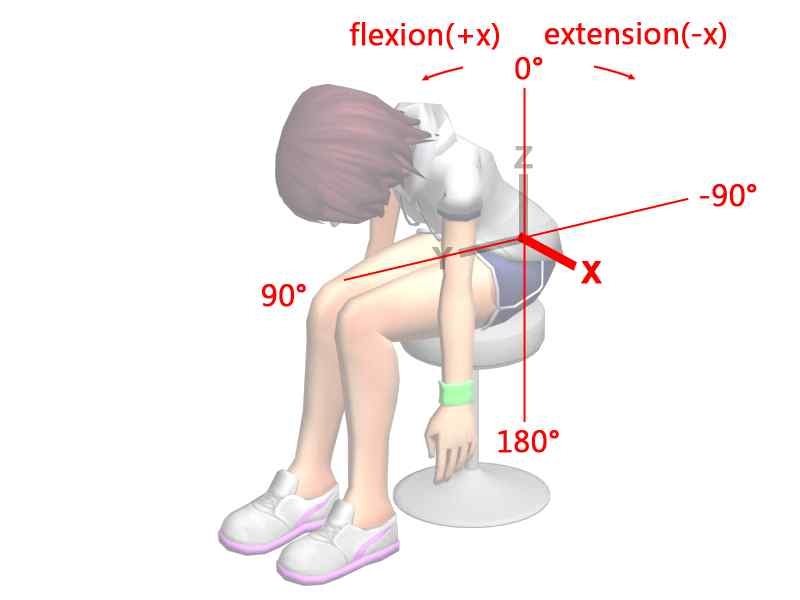 그림 18. Trunk flexion-extension 3차원 좌표계 정의