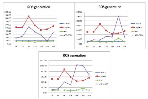 Fig. 41. Effects of EBM-85~87 on ROS generations in cisplatin-treated porcine renal epithelial cells.