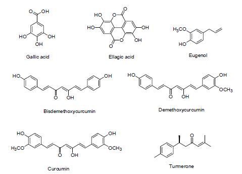 Fig. 4. Chemical structures of major constituents of EBM-88, EBM-89 and EBM-90