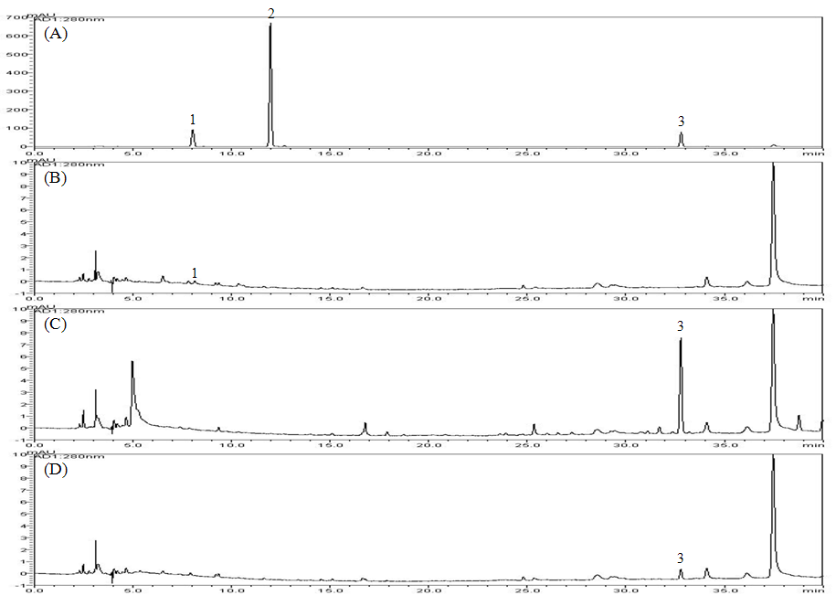 Fig. 8. HPLC chromatogram of standard mixture at 280 nm (A), EBM-82 extract (B), EBM-83 extract (C) and EBM-84 extract (D)