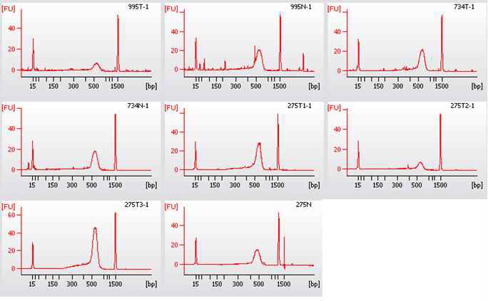 그림2. Library construction of each samples for NGS analysis