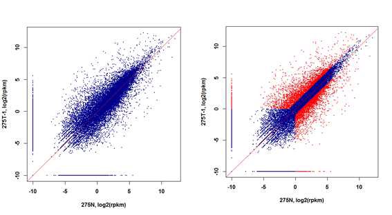 그림 4. Gene expression profile by RNAseq (RPKM)