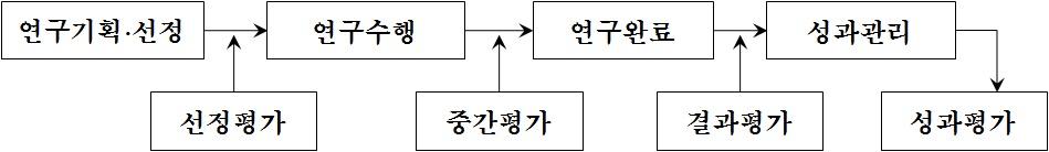 국가연구개발사업 흐름도