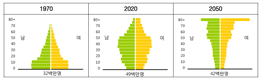 한국인구의 피라미드
