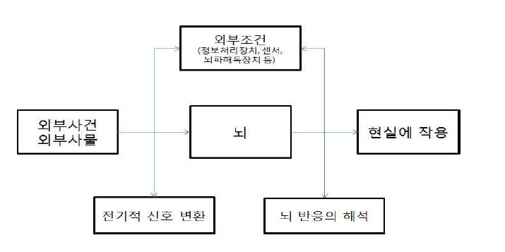 정보주입과 뇌 활동의 해석 과정