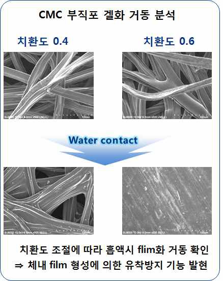 CMC부직포 겔화 거동