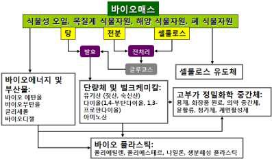 바이오매스 유래 플라스틱 생산 경로