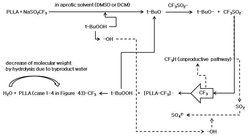 Putative mechanism of CF3-substituted PLLA