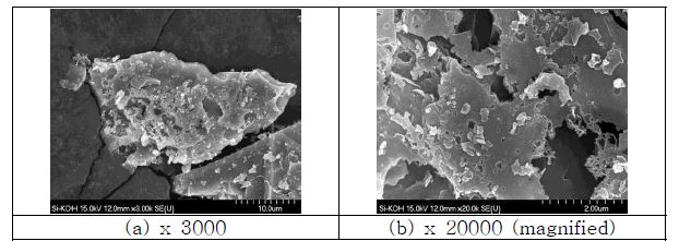 그림 3-22. SEM images of anisotropic etched Si-powder by KOH