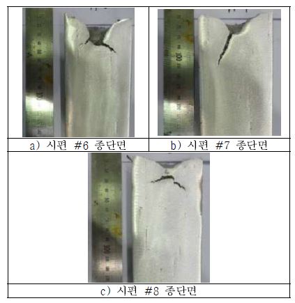 그림 3-9. 300℃의 금형에 주조된 ingot의 종단면 형상