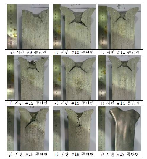 그림 3-13. 점진적 용탕주입으로 주조된 ingot의 종단면 형상