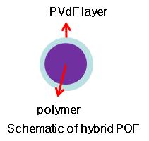 Schematic of hybrid POF