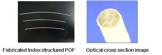 Fabricated index structured POF and its optical cross section image