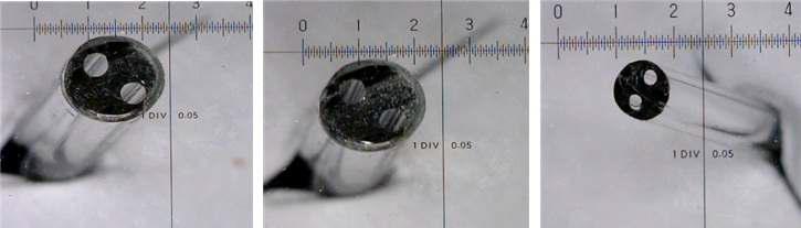 Cross sectional image of fabricated 2 hole POF