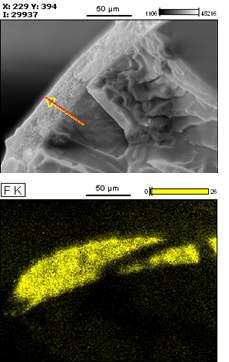 Clad composition and structure analysis of fabricated POF