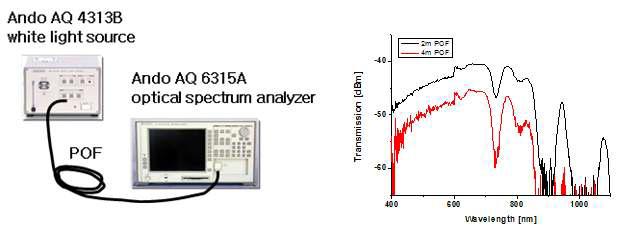 Schematic of POF transmission loss measure system(left) and its transmission spectrum(right)