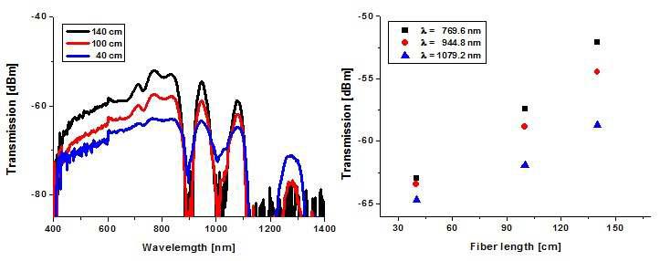 Transmission of fabricated PMMA POF with different fiber length