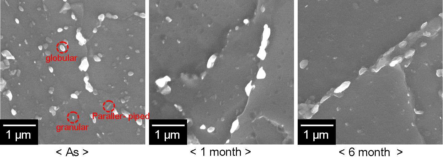 SEM image of the micro structure of T91 steel specimens