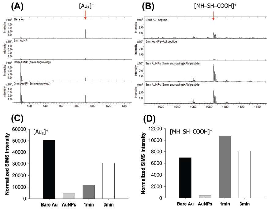 Positive secondary ion spectra and corresponding ion intensity from Au (A and C) and cysteine-tethered Abl peptide (B and D) on different surfaces: bare Au (black), AuNPs (light gray), 1 min-enlarged (dark gray) and 3 min-enlarged AuNPs surface (white).