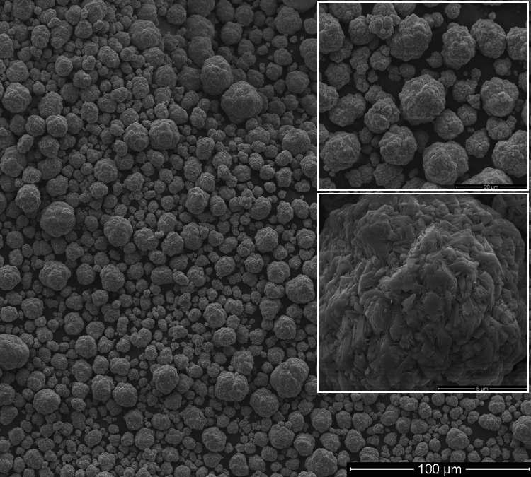 SEM images of the as synthesized powder