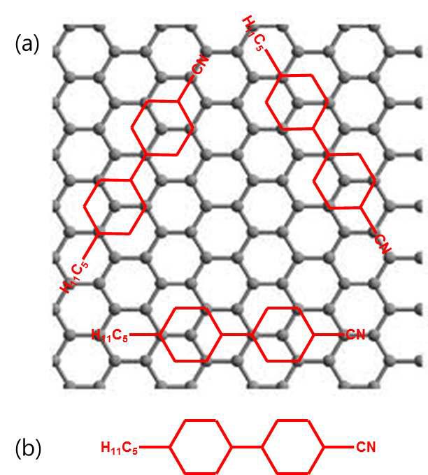 (a) Schematic diagram of the alignment of liquid-crystal molecules on graphene. (b) Chemical structure of a liquid-crystal (5CB).