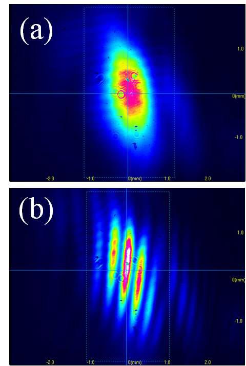 Captured interference images between the cw OPO and the ECDL output beams at 795 nm (a) before and (b) after injection-locking