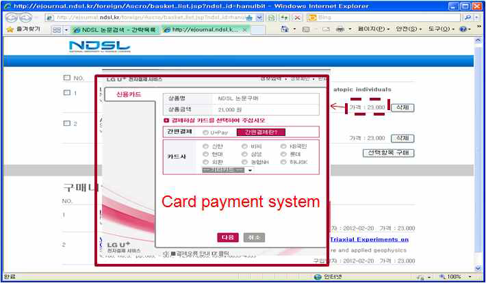 Card Payment System(PPV)