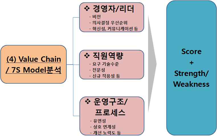 조직역량의 Value Chain/7S Model 분석