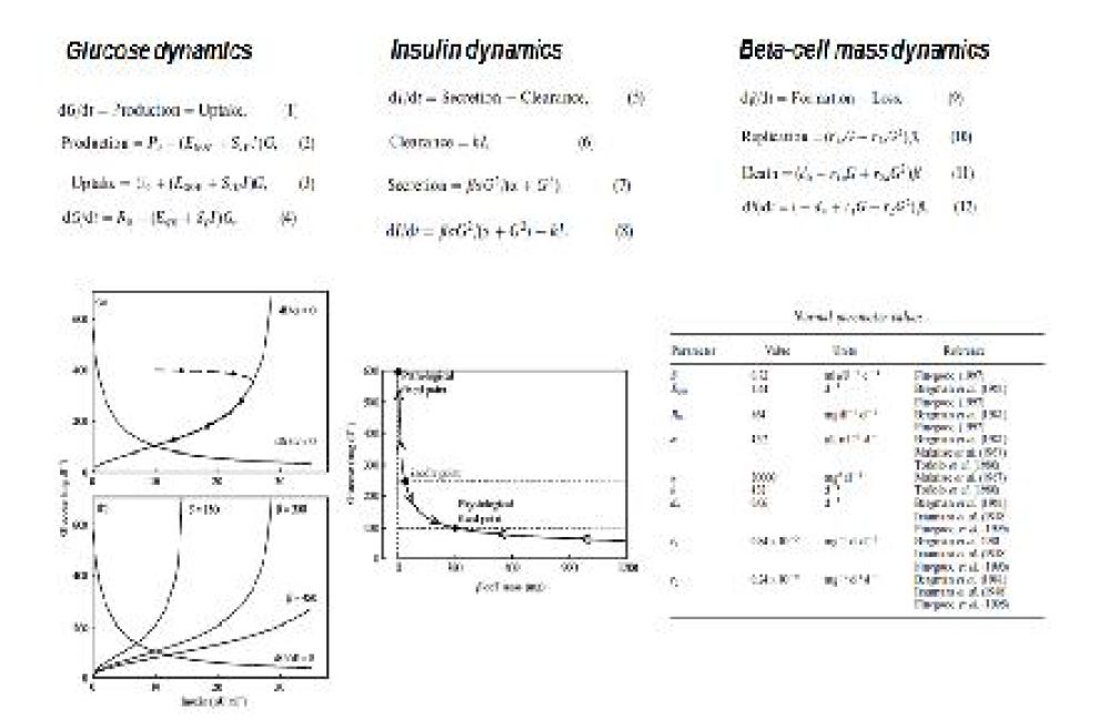 당뇨병과 관련된 ODE 모델